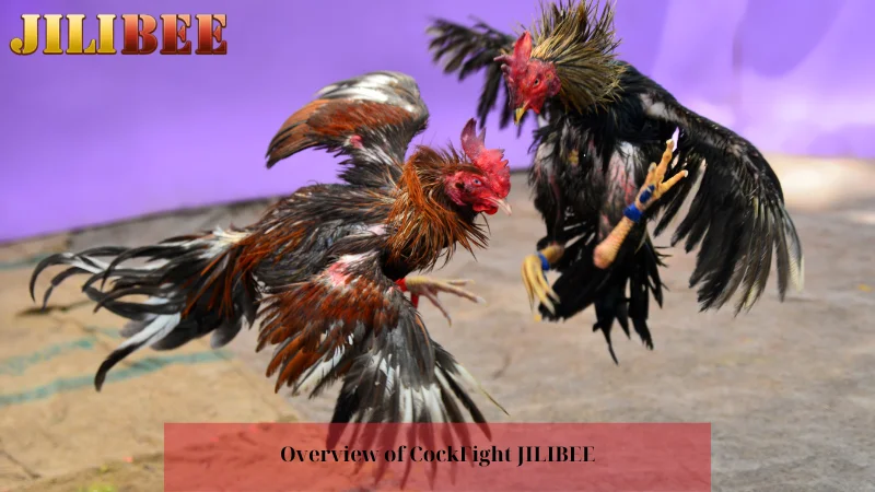 www-bir-gov-ph how to place a bet on sportybet